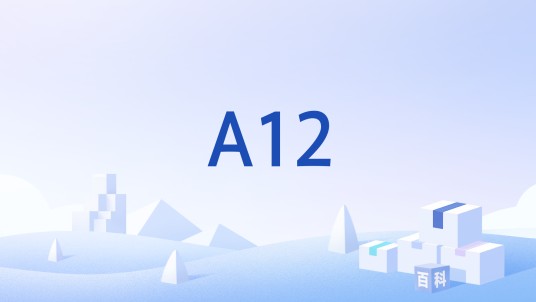A12