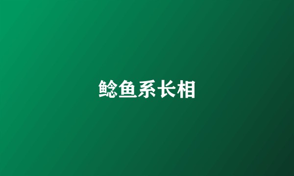 鲶鱼系长相