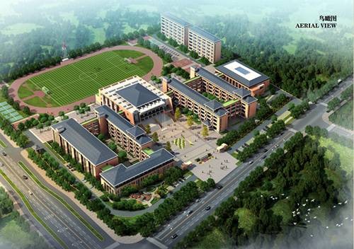 天易金霞小学