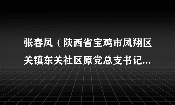 张春凤(陕西省宝鸡市凤翔区关镇东关社区原党总支书记、居委会主任)