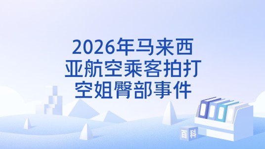 2026年马来西亚航空乘客拍打空姐臀部事件