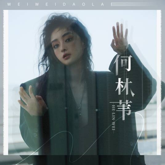 掌纹（2024年何林苇演唱的歌曲）