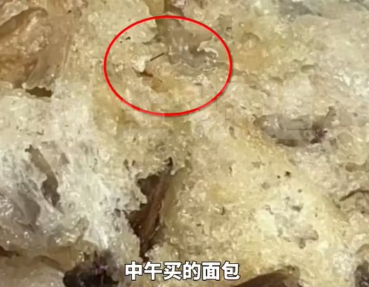 2·19郑州女子p图毛发碰瓷事件