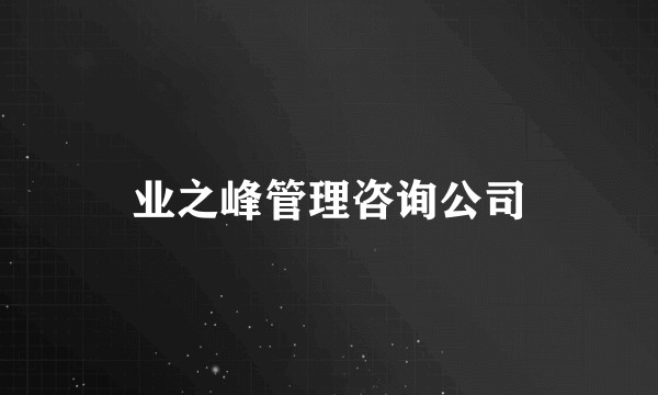 业之峰管理咨询公司