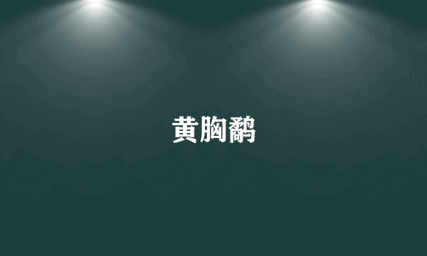 黄胸鹬