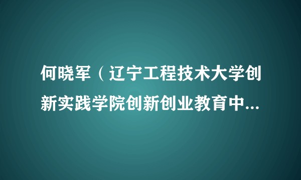 何晓军（辽宁工程技术大学创新实践学院创新创业教育中心主任）