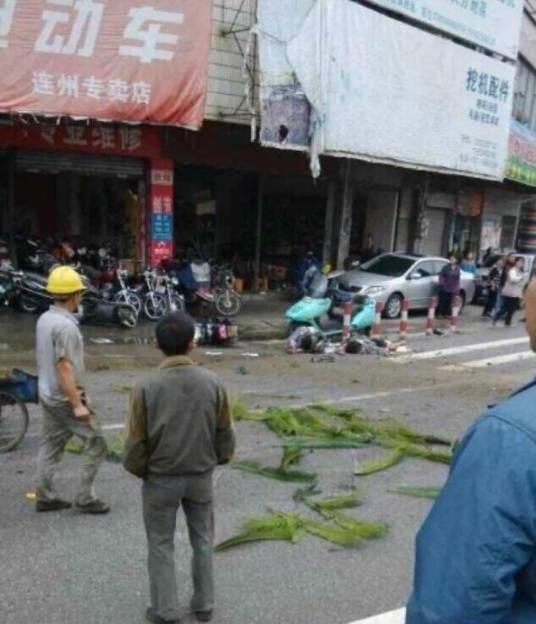 11·11连州重大交通事故