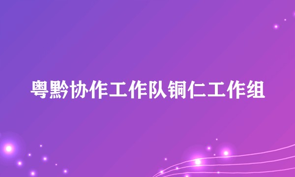 粤黔协作工作队铜仁工作组