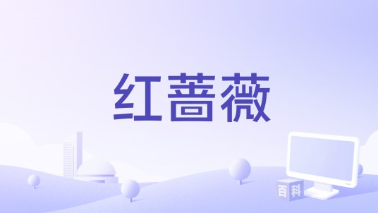 红蔷薇（2017年杨子姗、陈晓主演的谍战剧）