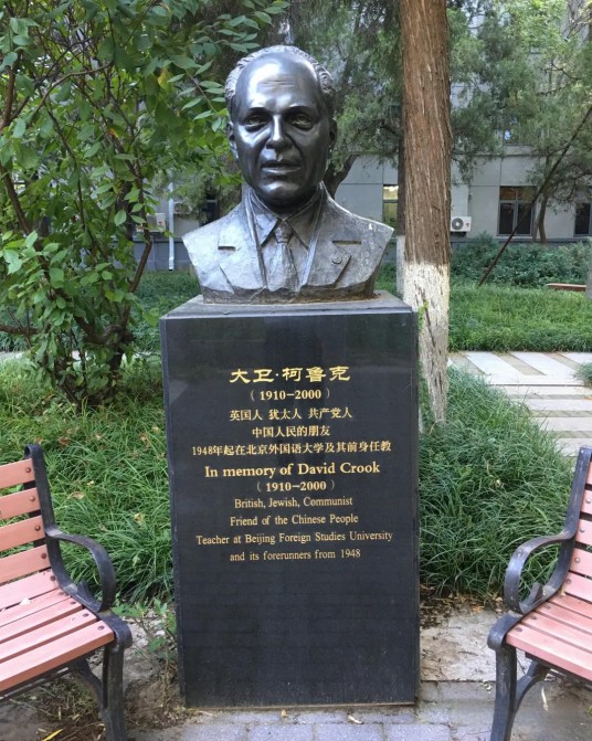 戴维·柯鲁克