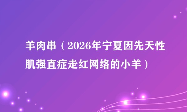 羊肉串(2026年宁夏因先天性肌强直症走红网络的小羊)