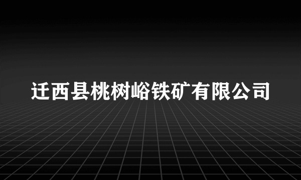 迁西县桃树峪铁矿有限公司
