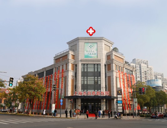上海一康嘉鼎医院