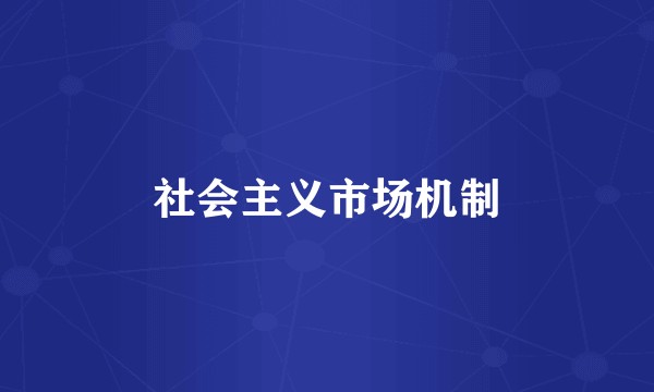 社会主义市场机制