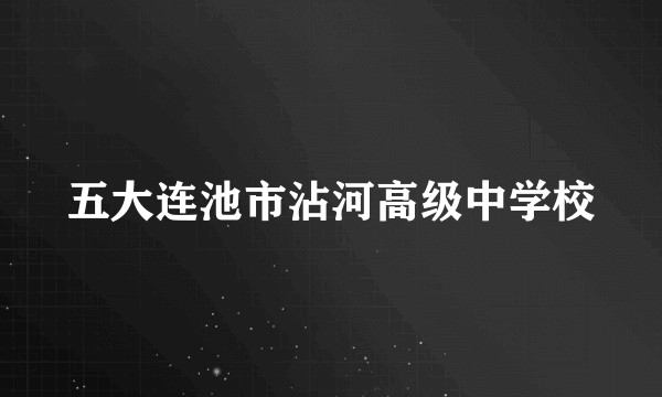 五大连池市沾河高级中学校