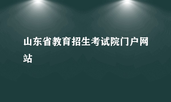 山东省教育招生考试院门户网站