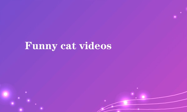 Funny cat videos