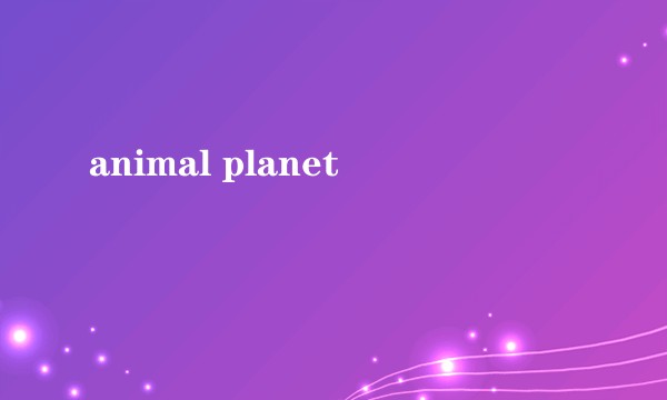 animal planet