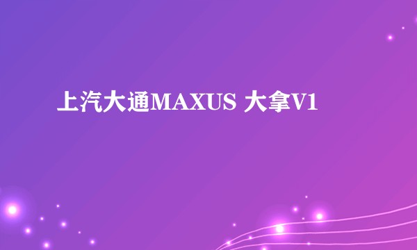 上汽大通MAXUS 大拿V1