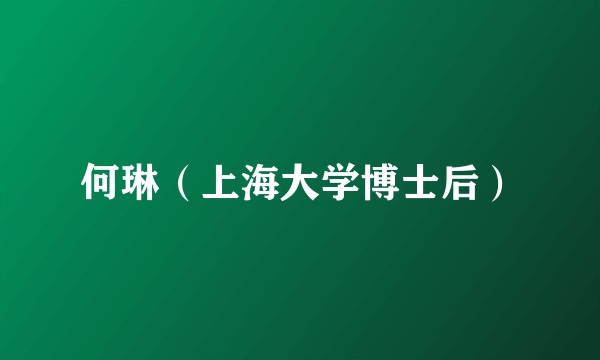何琳（上海大学博士后）