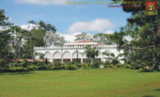 棉兰老岛国立大学