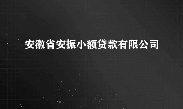 安徽省安振小额贷款有限公司