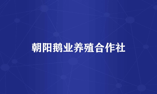 朝阳鹅业养殖合作社