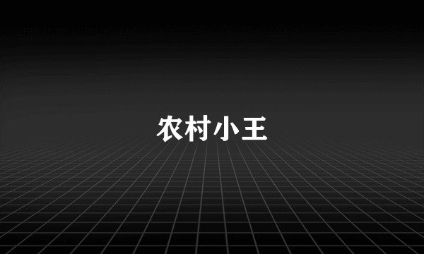 农村小王
