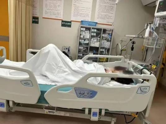 7·17上海反虐猫志愿者遭开盒后轻生事件