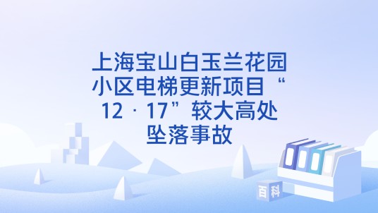 上海宝山白玉兰花园小区电梯更新项目“12·17”较大高处坠落事故