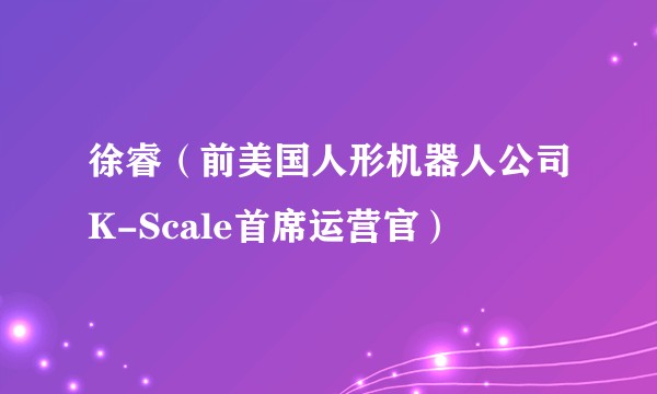 徐睿（前美国人形机器人公司K-Scale首席运营官）