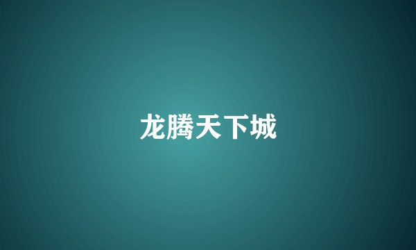 龙腾天下城