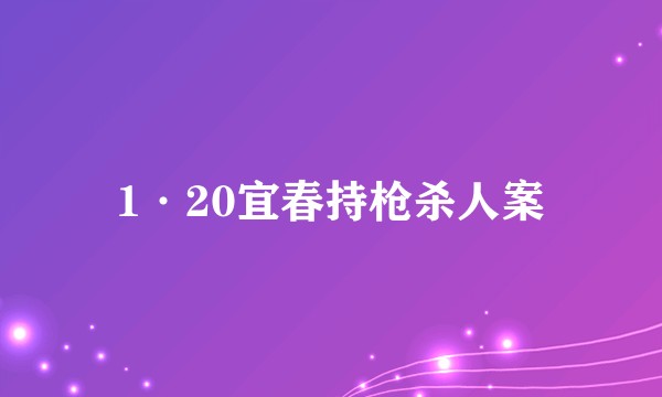 1·20宜春持枪杀人案