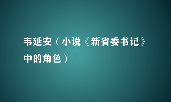 韦延安（小说《新省委书记》中的角色）