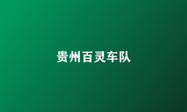 贵州百灵车队