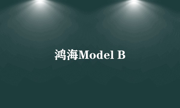 鸿海Model B