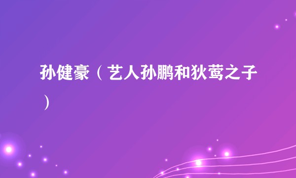 孙健豪（艺人孙鹏和狄莺之子）