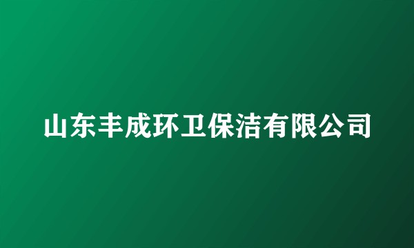 山东丰成环卫保洁有限公司