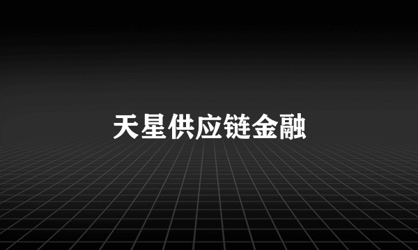 天星供应链金融