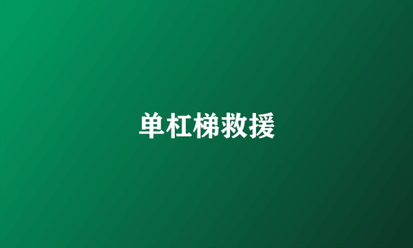 单杠梯救援