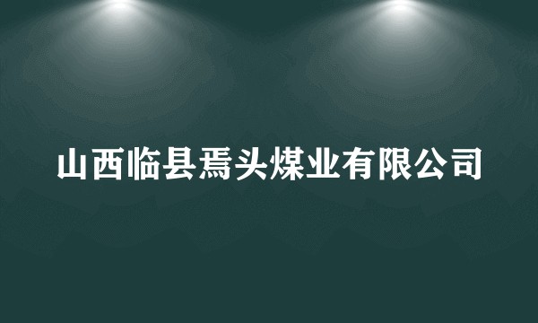 山西临县焉头煤业有限公司