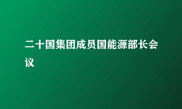 二十国集团成员国能源部长会议