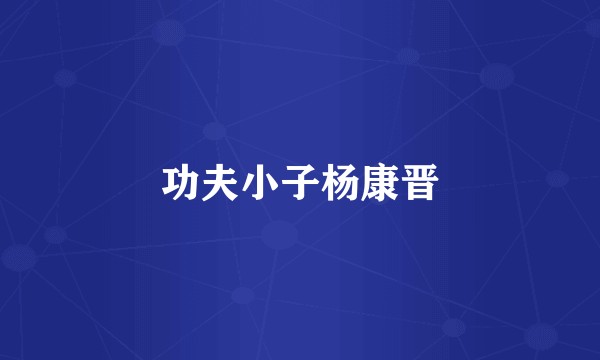 功夫小子杨康晋
