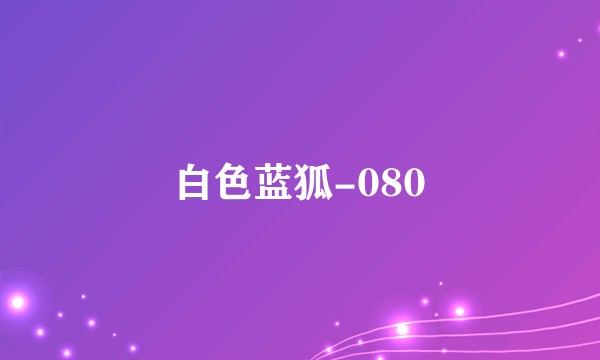 白色蓝狐-080