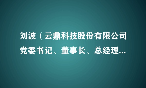 刘波（云鼎科技股份有限公司党委书记、董事长、总经理，北斗天地股份有限公司董事长）