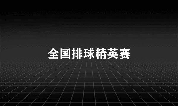 全国排球精英赛