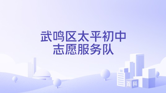 武鸣区太平初中志愿服务队