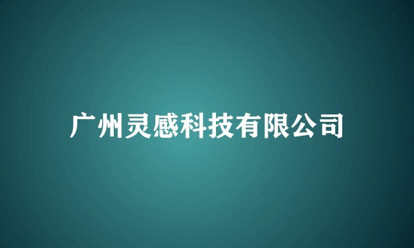 广州灵感科技有限公司