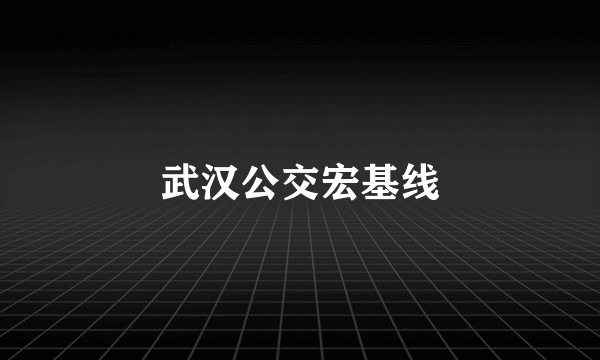 武汉公交宏基线