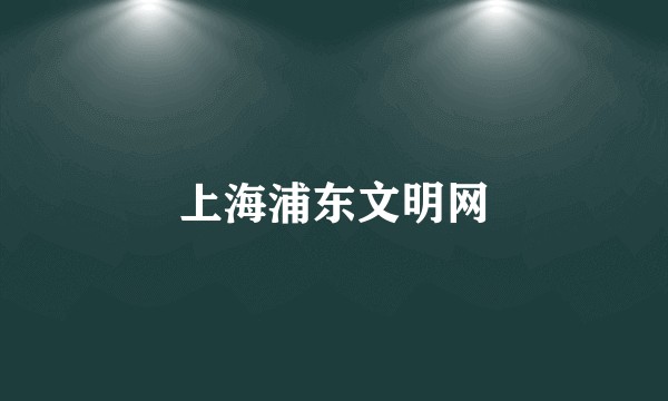 上海浦东文明网